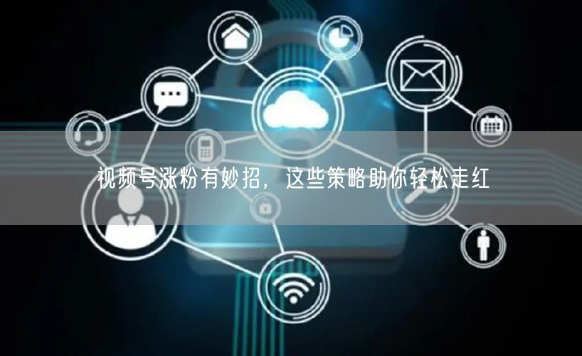 视频号涨粉有妙招，这些策略助你轻松走红