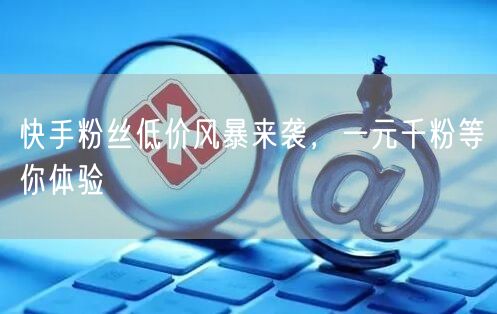 快手粉丝低价风暴来袭，一元千粉等你体验