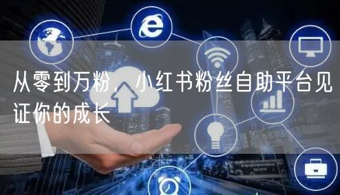 从零到万粉，小红书粉丝自助平台见证你的成长