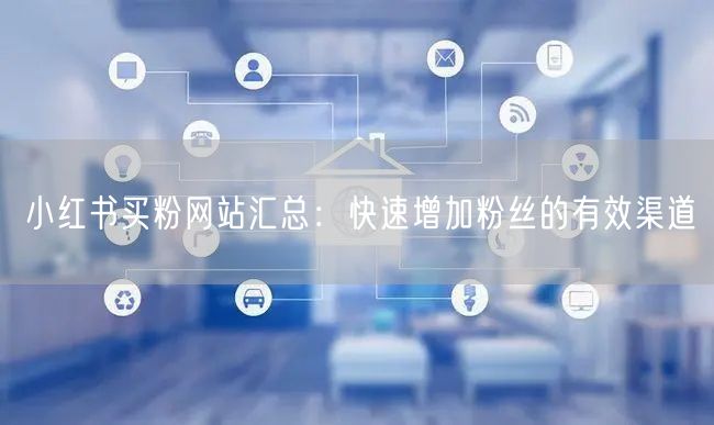 小红书买粉网站汇总：快速增加粉丝的有效渠道