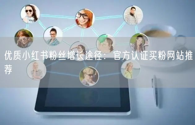 优质小红书粉丝增长途径：官方认证买粉网站推荐