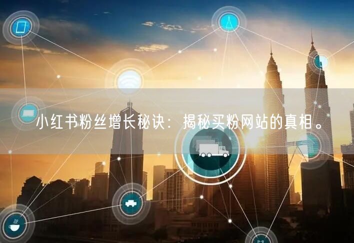 小红书粉丝增长秘诀：揭秘买粉网站的真相。