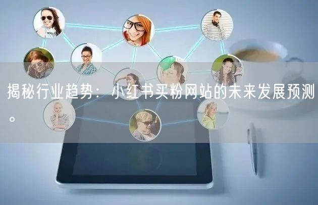 揭秘行业趋势：小红书买粉网站的未来发展预测。
