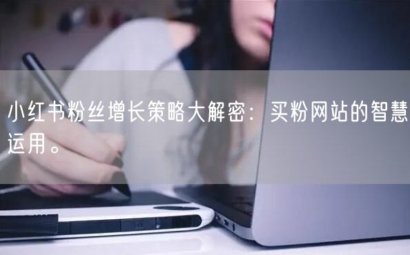 小红书粉丝增长策略大解密：买粉网站的智慧运用。