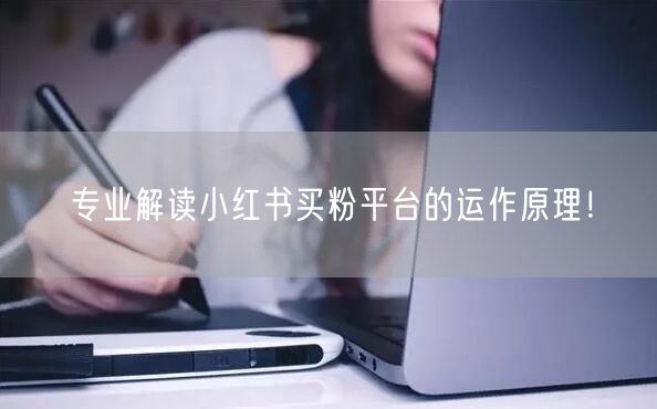 专业解读小红书买粉平台的运作原理！