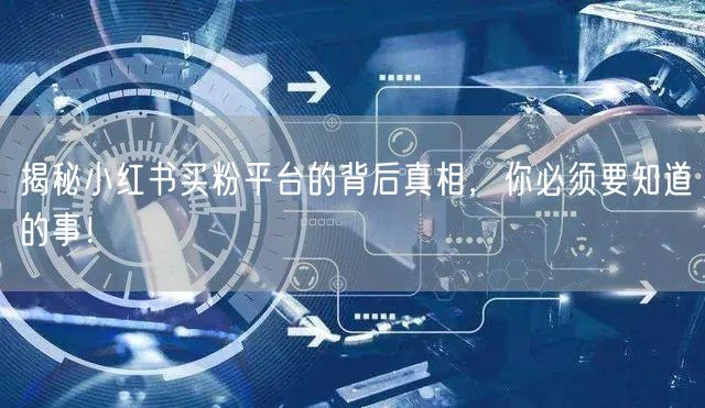 揭秘小红书买粉平台的背后真相，你必须要知道的事！