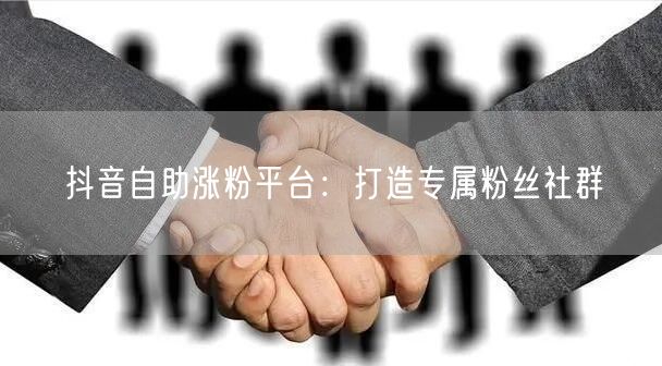 抖音自助涨粉平台：打造专属粉丝社群