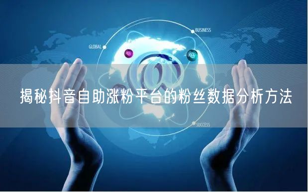 揭秘抖音自助涨粉平台的粉丝数据分析方法