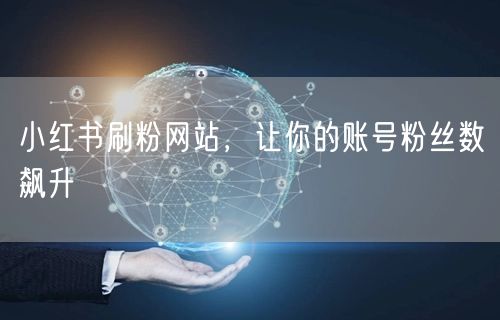 小红书刷粉网站，让你的账号粉丝数飙升